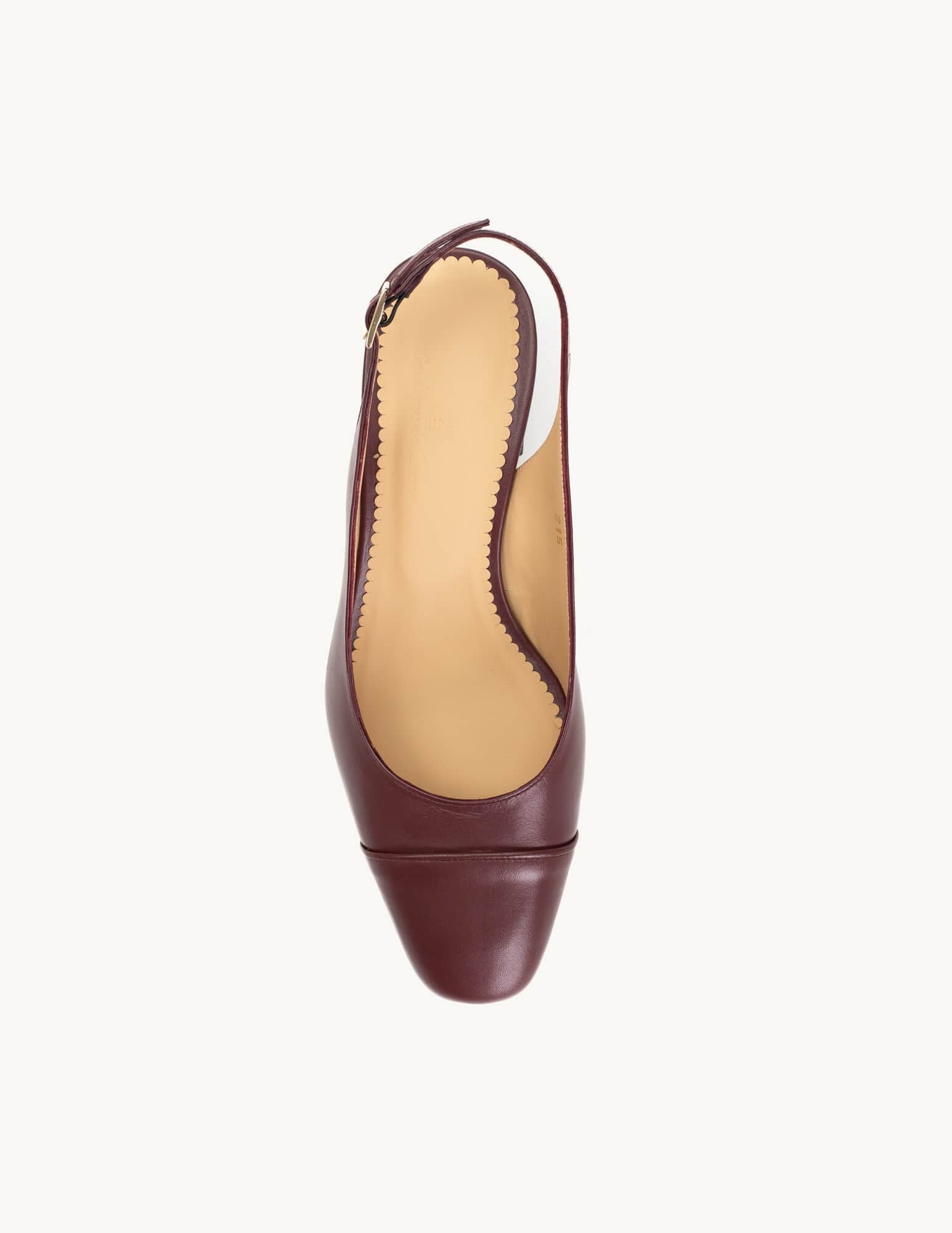 Sapato Brigitte Bordeaux