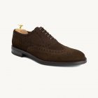 OXFORD brogue camurça